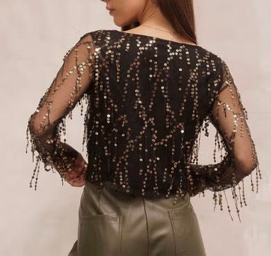 Fringe sequin top